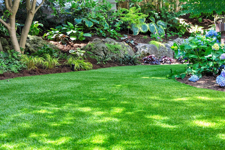 Water Conservation Solutions: Choosing Drought-Tolerant Grass for a Greener DFW